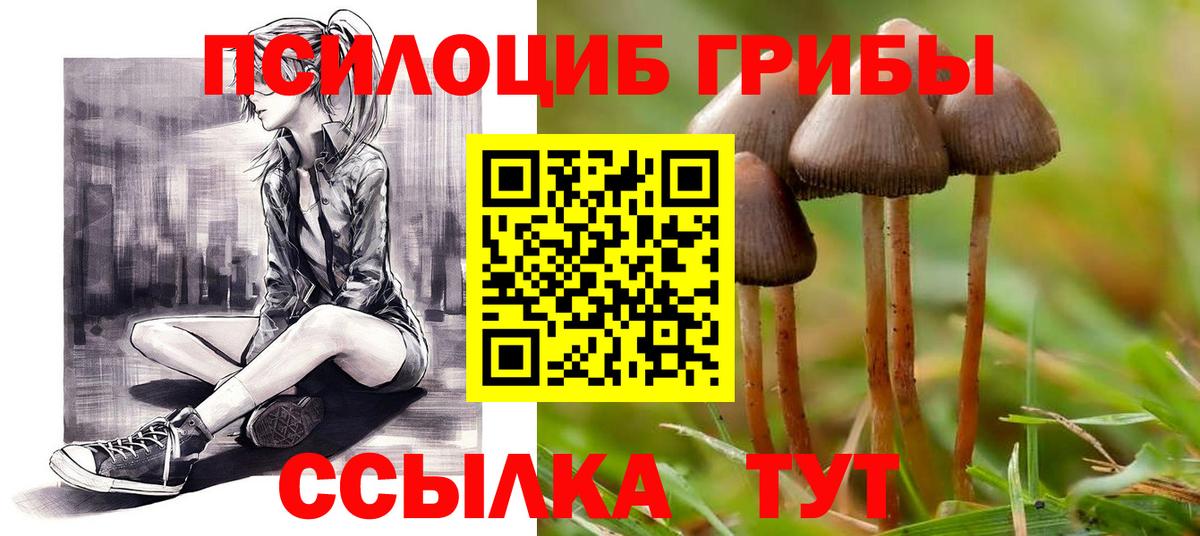 Галлюциногенные грибы Magic Shrooms Серпухов